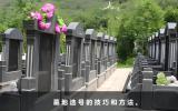 墓地選擇幾排幾號(hào)好？墓地選號(hào)的技巧和方法