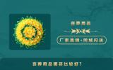 喪葬用品哪買比較好？