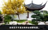 陽(yáng)歷哪天不能出殯？這些日子不宜出殯你必須要知道