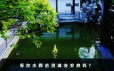 骨灰水葬后靈魂會(huì)安息嗎？