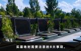 買墓地都需要注意些什么？買墓地時需要注意的8大事項