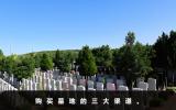 墓地去哪買？購買墓地的三大渠道