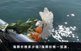 海葬價格多少錢？海葬價格一覽表
