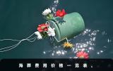 海葬需要多少費用？海葬費用價格一覽表