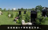 遷墳有什么講究和忌諱？遷墳時的6個講究和三不遷