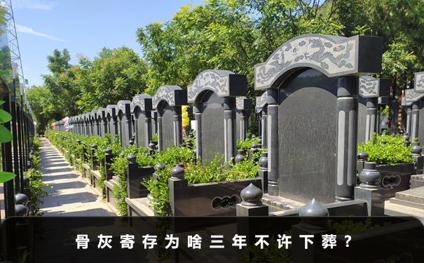 骨灰寄存為啥三年不許下葬