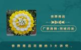 喪葬用品花圈有什么講究？喪葬用品花圈的3大講究