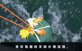 骨灰海撒如何辦理手續？骨灰海撒的手續辦理流程