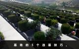 墓地如何選擇？墓地的5個(gè)選墓技巧