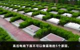 高壓電線下面可以做墓地嗎？不可以做墓地的5個(gè)原因