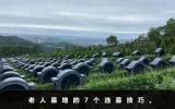 老人墓地怎么選？老人墓地的7個選墓技巧