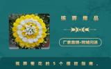 殯葬用品鮮花菊花怎么擺放？殯葬菊花的5個(gè)擺放指南