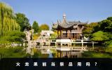 火龍果能當祭品用嗎？從這3個方面來衡量