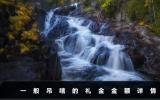 一般吊唁拿多少錢(qián)？一般吊唁的禮金金額詳情