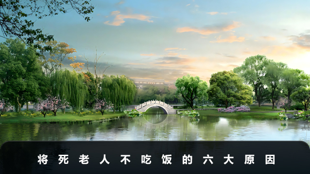 將死老人為何不吃飯