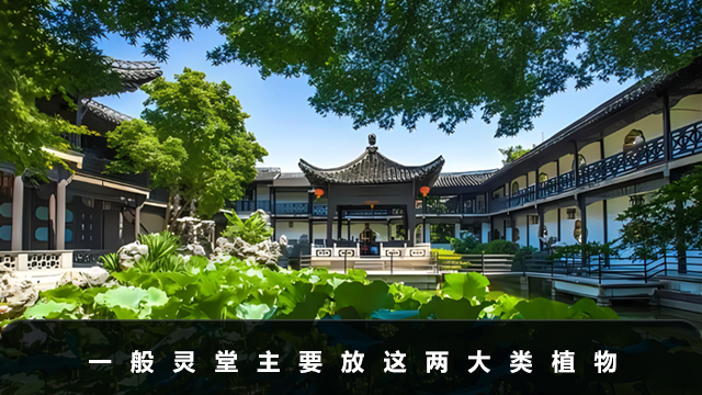 一般靈堂放哪些植物好