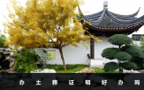 辦土葬證明好辦嗎？好不好辦主要取決于這三個方面