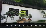 一年喪事三年衰啥意思？一年喪事三年衰的含義
