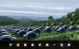 寧波墓地多少錢一個(gè)？寧波墓地價(jià)格一覽表