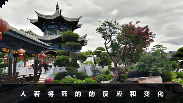 人若將死有什么反應